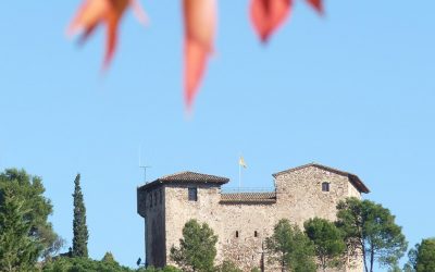 Visita excursió El Castell de Plegamans i la Torre Folch